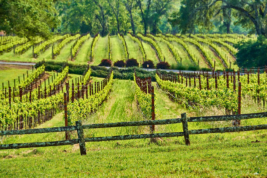 How Many Wineries Are in Kentucky?