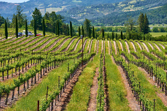 What is the Winery Capital of the United States?