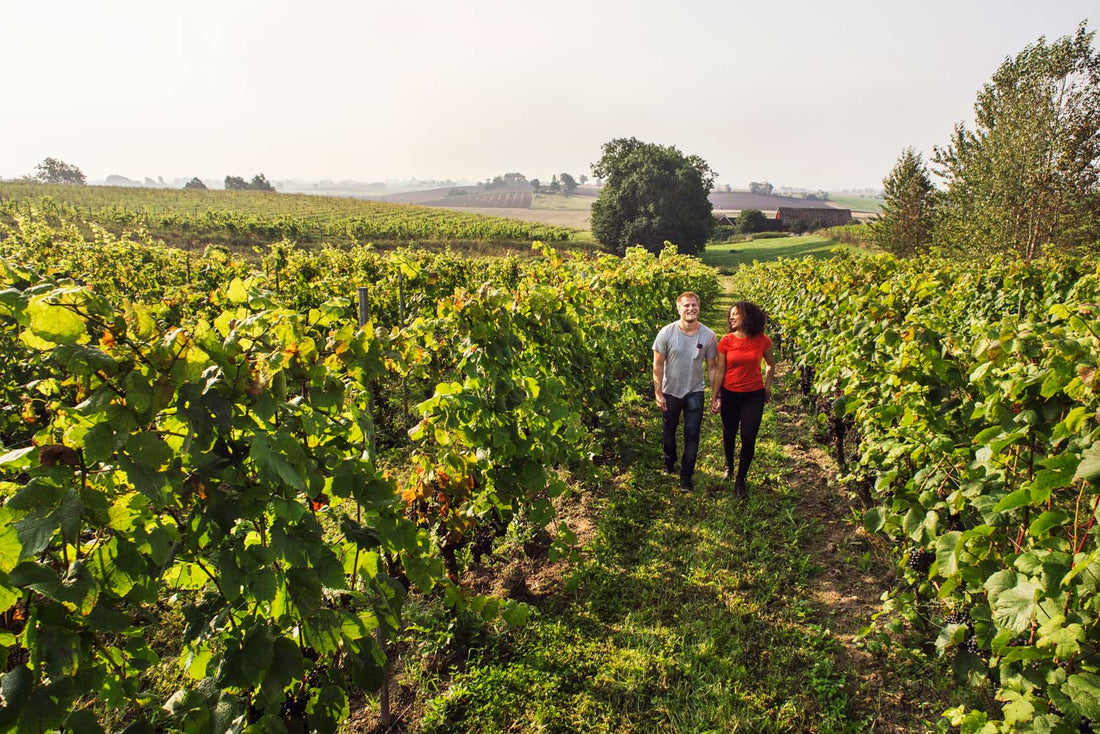Kentucky's Wine Trails: A Journey Through the State's Vineyards