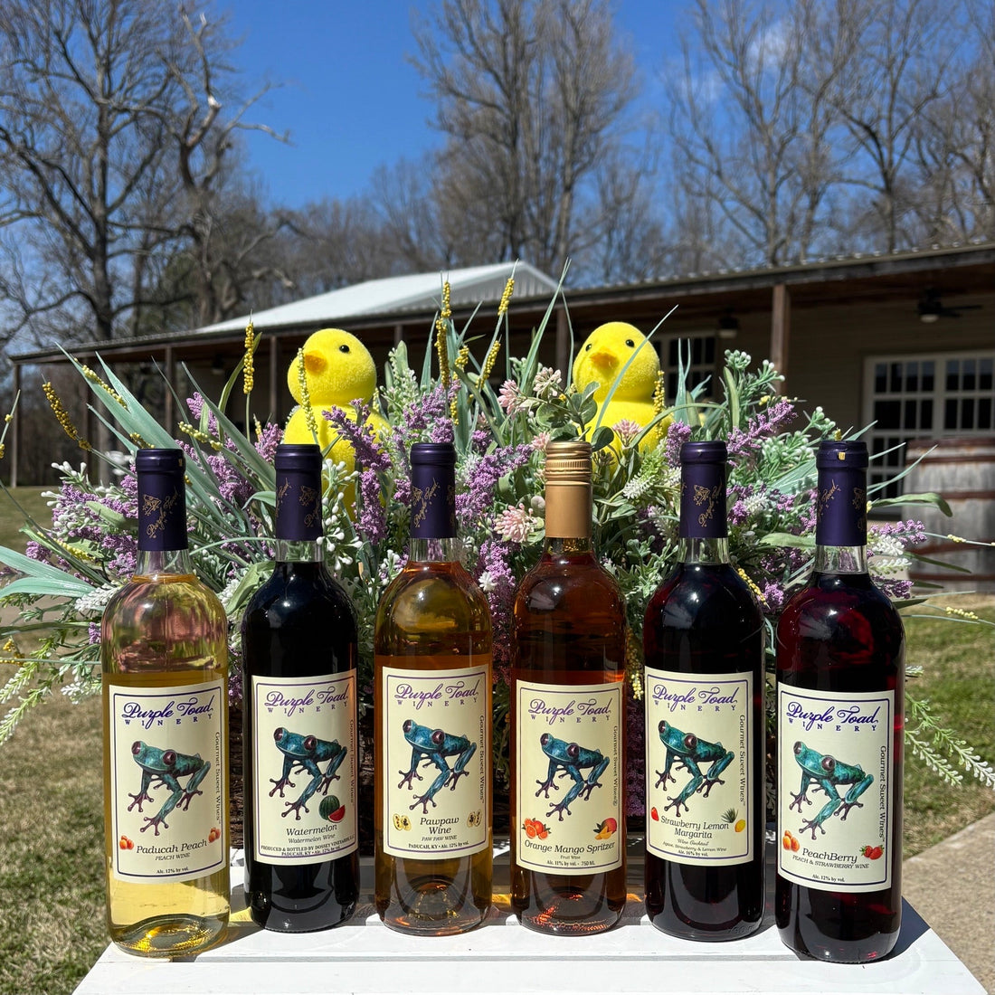 Fruit Wine vs. Grape Wine: What's the Difference (and Which One Is Right for You?