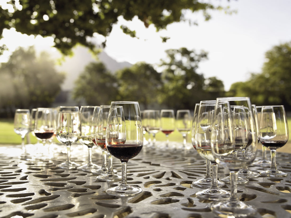Memorial Day Weekend Wine Guide: Cookouts, Cans & Sangria the Easy Way