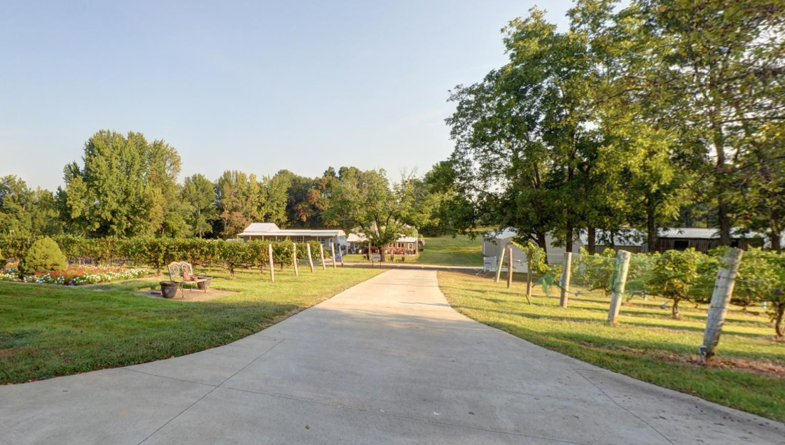 Pathway through the Purple Toad vineyard in Paducah, Kentucky